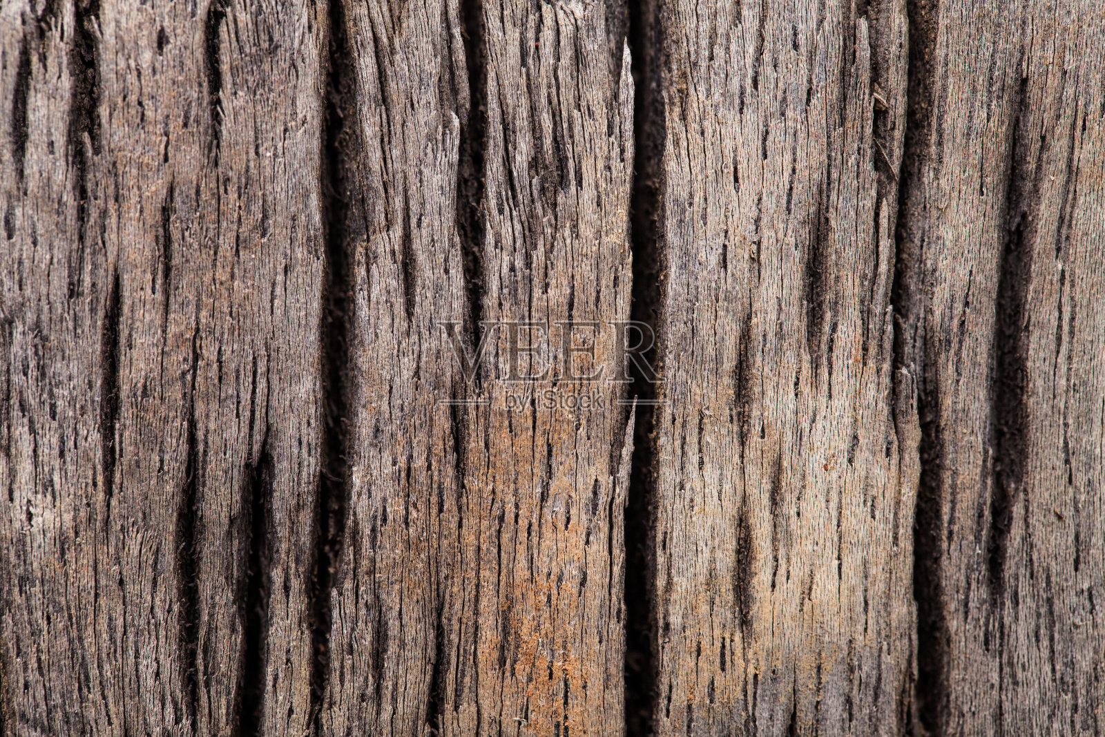 木材纹理。照片摄影图片