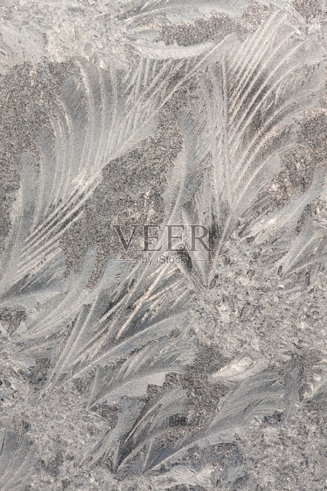 霜照片摄影图片