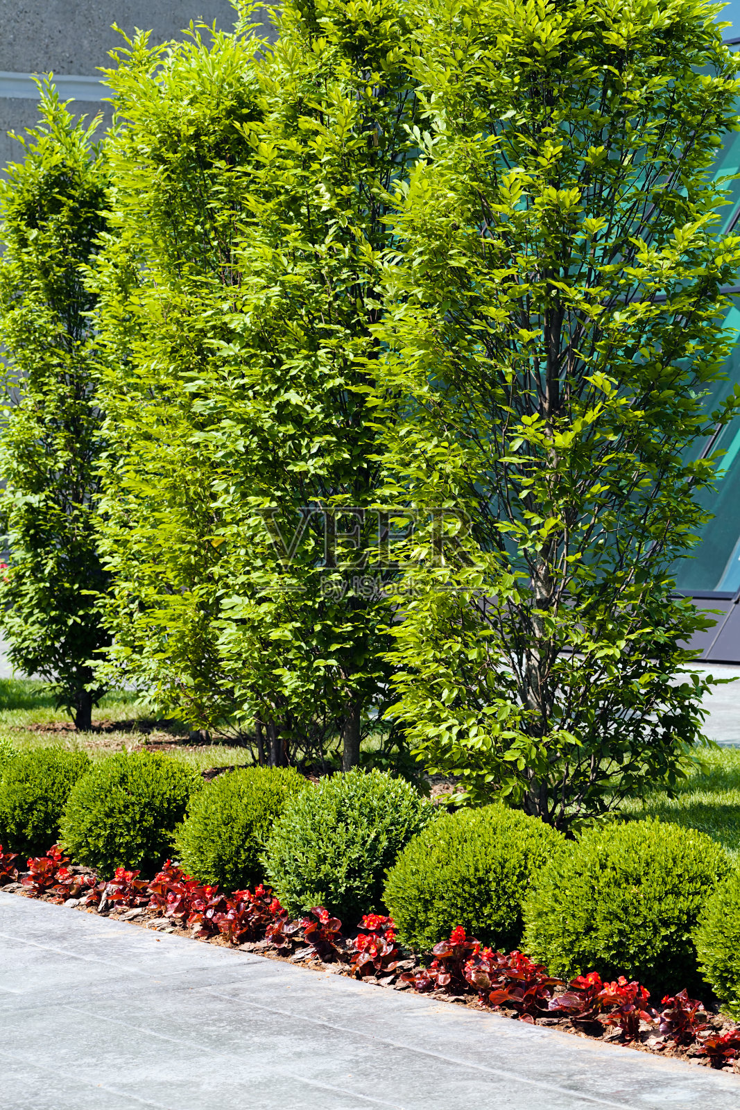 周围的商业建筑照片摄影图片