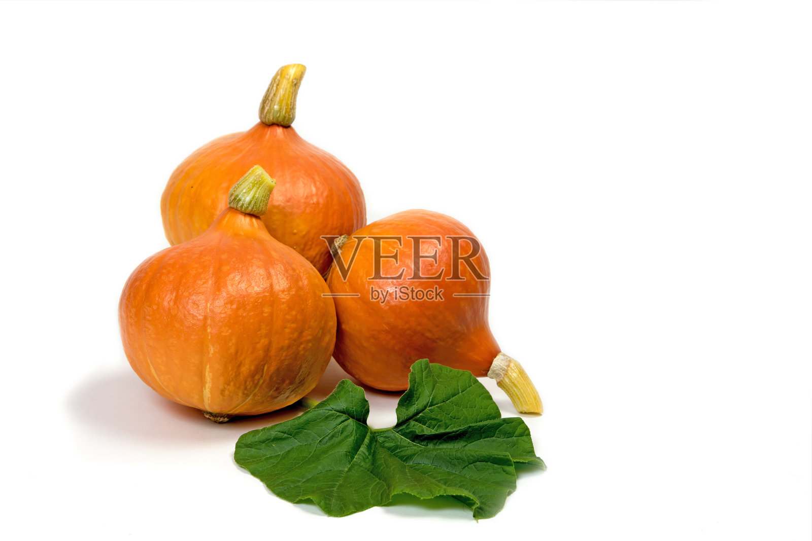三个绿色叶子的南瓜照片摄影图片