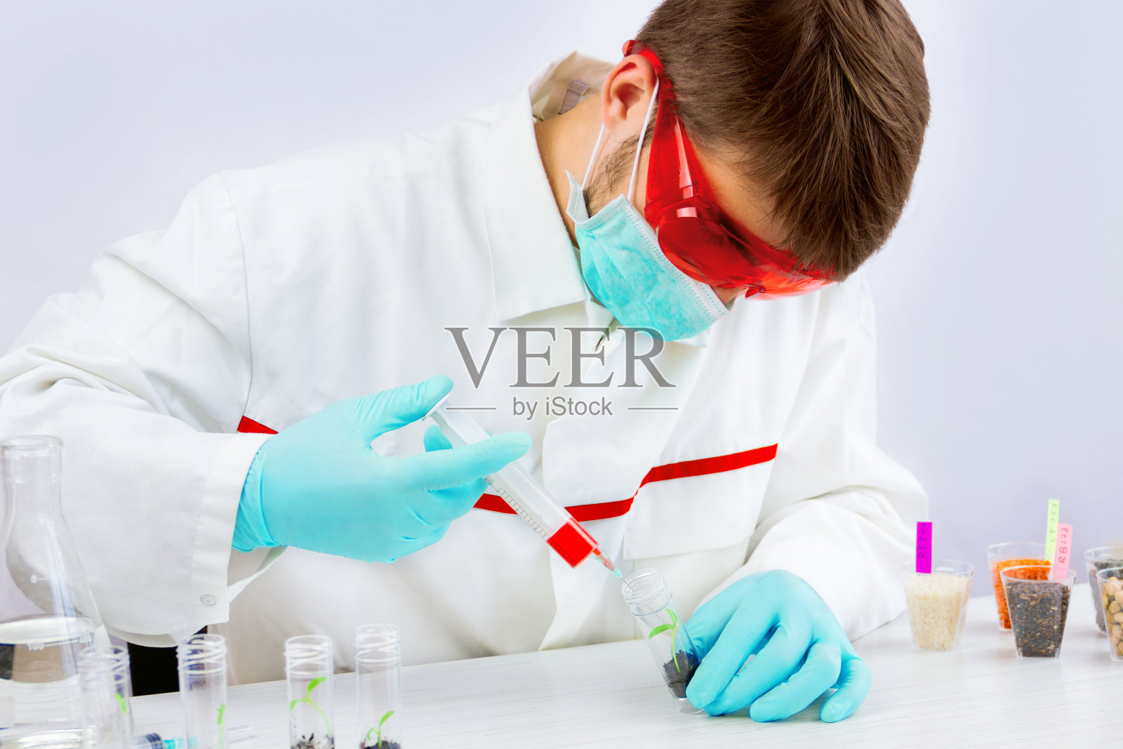 转基因产品的检测照片摄影图片