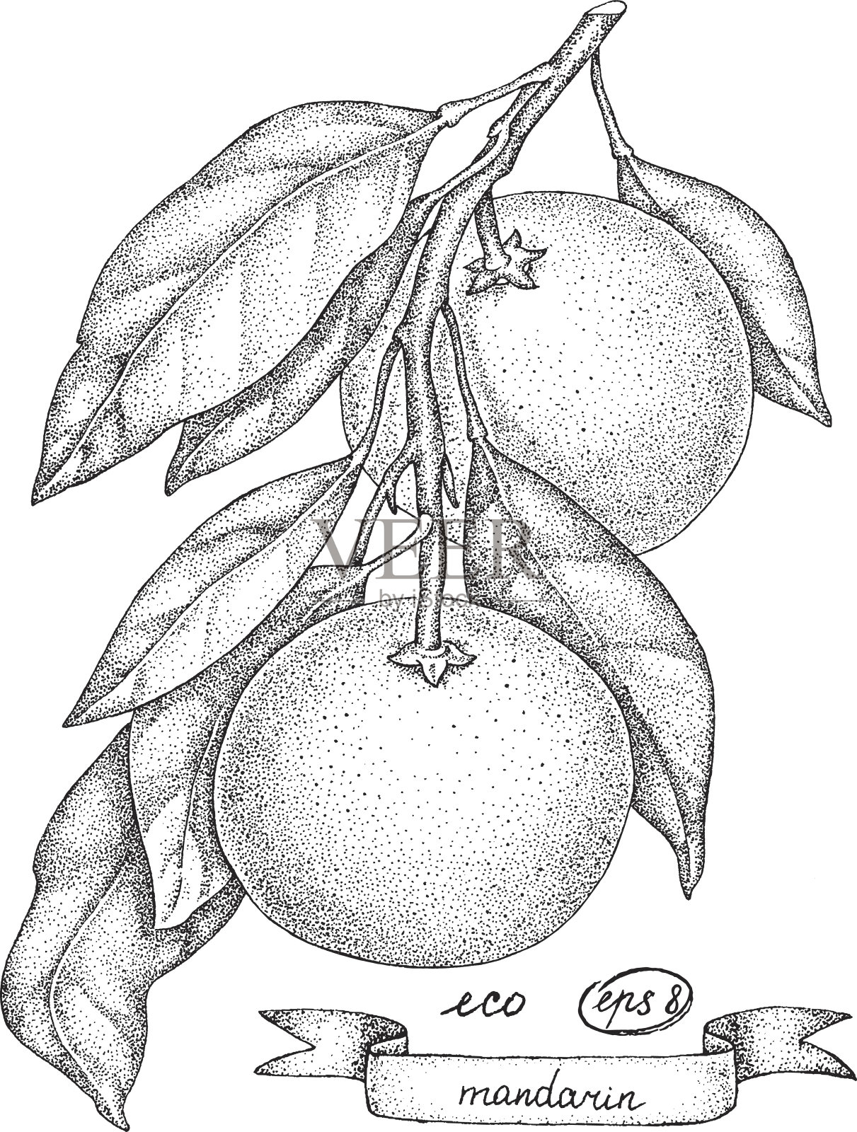 普通话插画图片素材