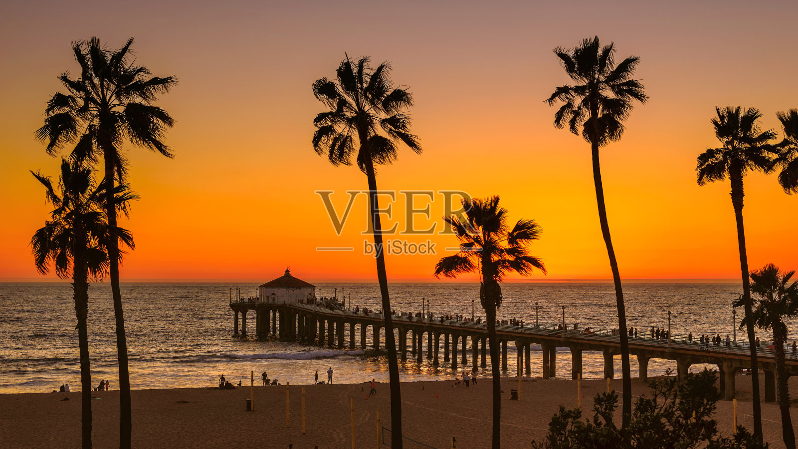 加州曼哈顿海滩上的棕榈树在橙色日落照片摄影图片