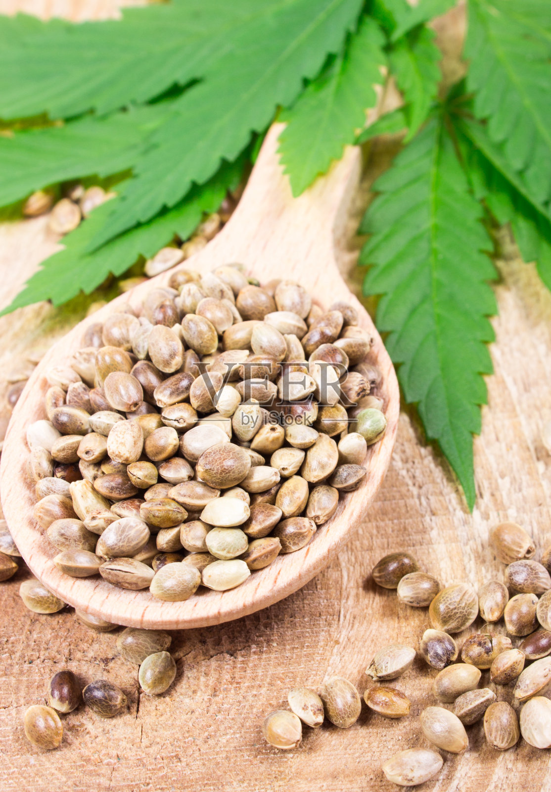 大麻叶和种子放在木桌上。关闭了。照片摄影图片