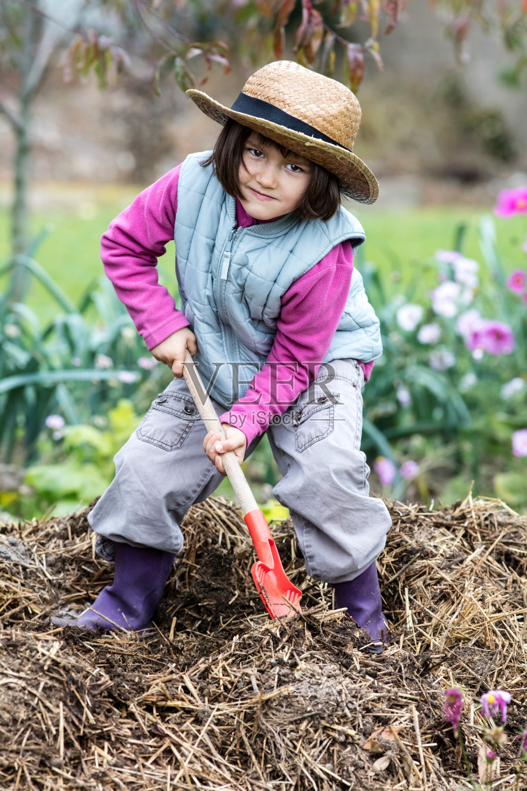 决心学龄前儿童喜欢铲粪肥或堆肥在家花园里照片摄影图片