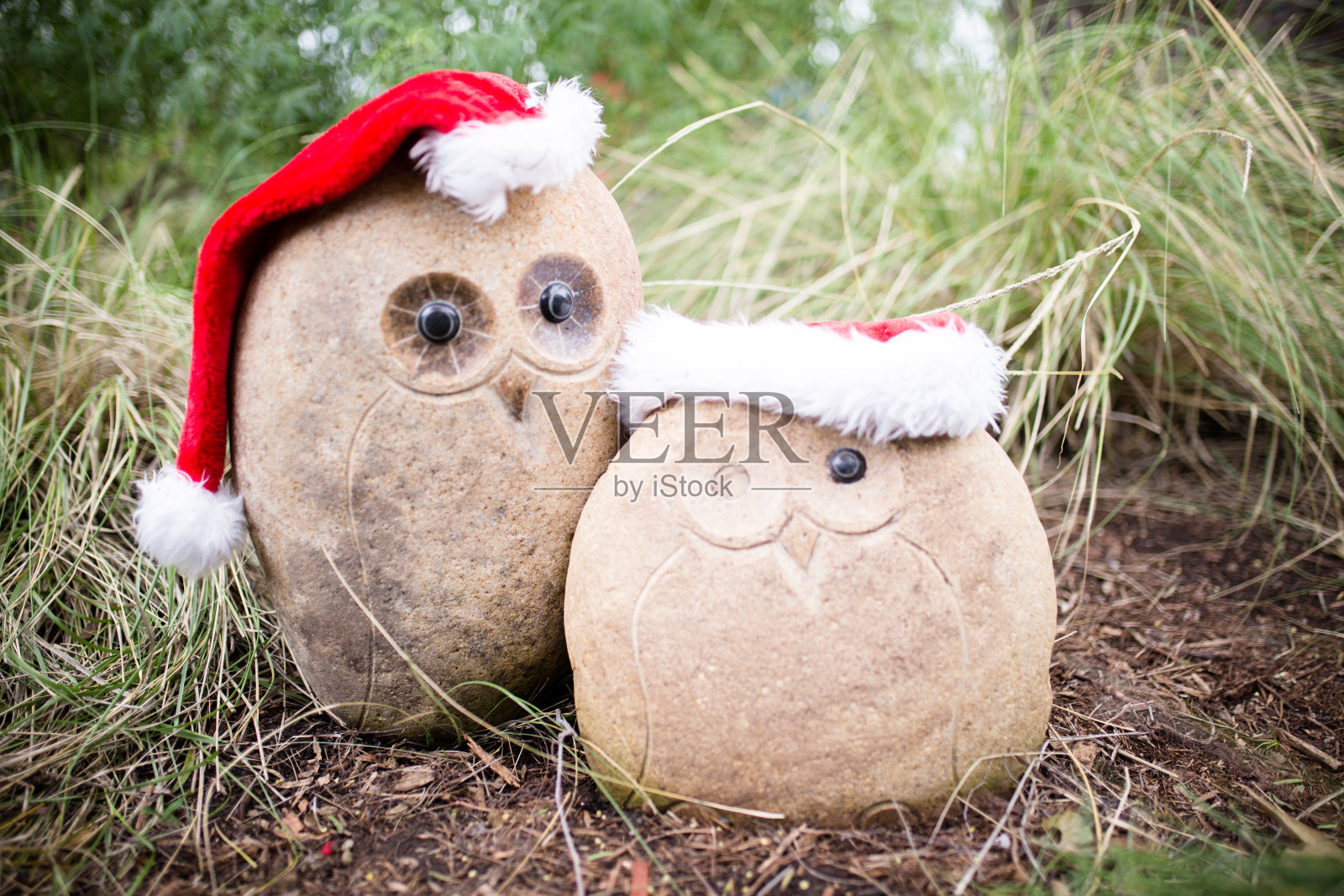 圣诞装饰照片摄影图片