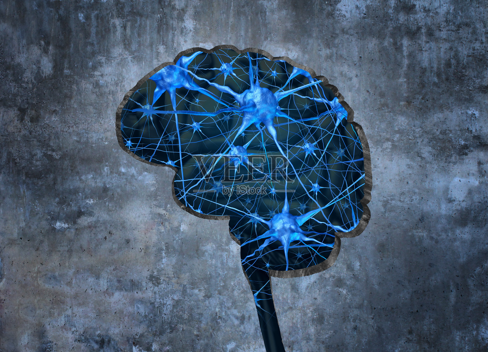 人类神经学内部结构照片摄影图片