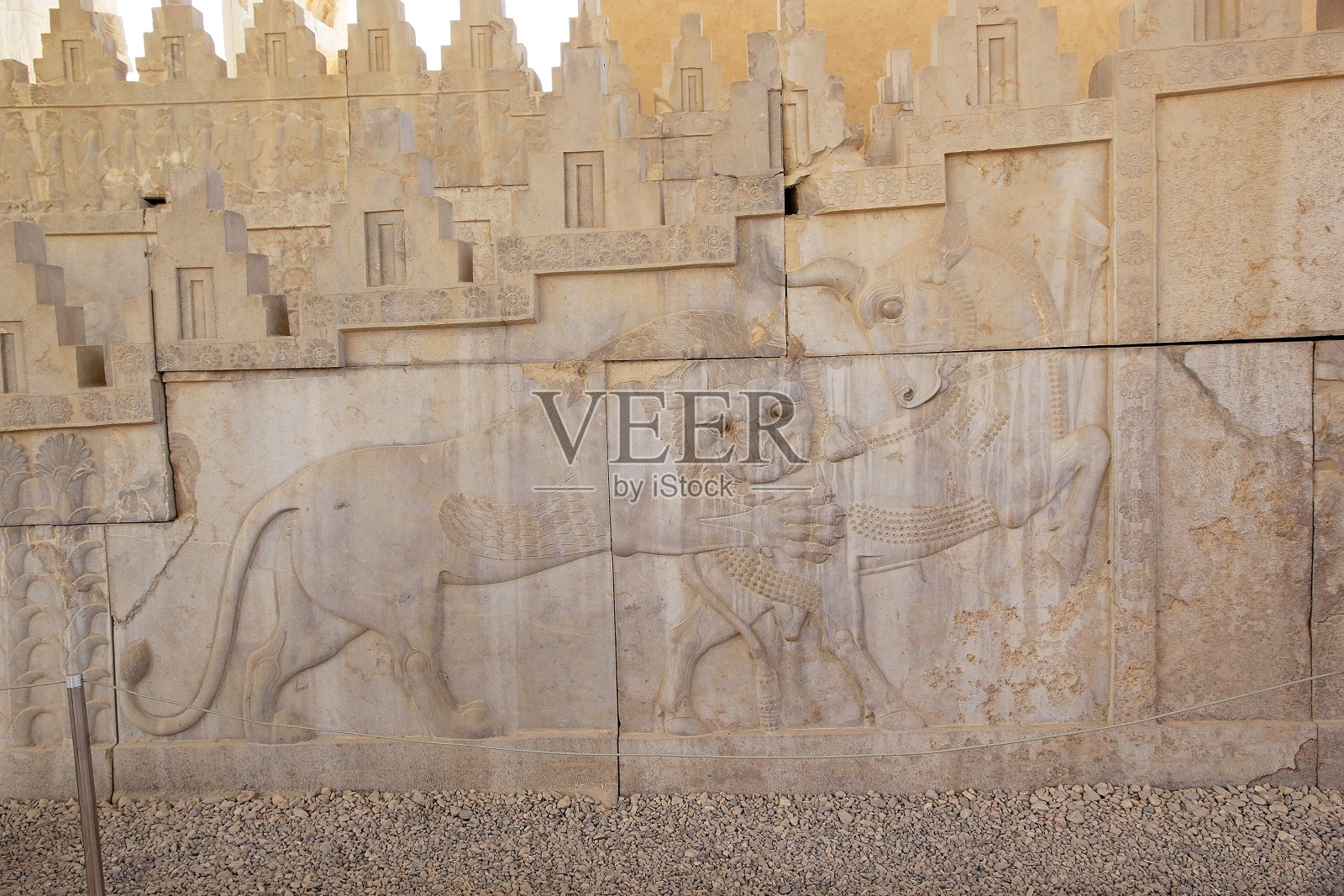 我在伊朗长大照片摄影图片