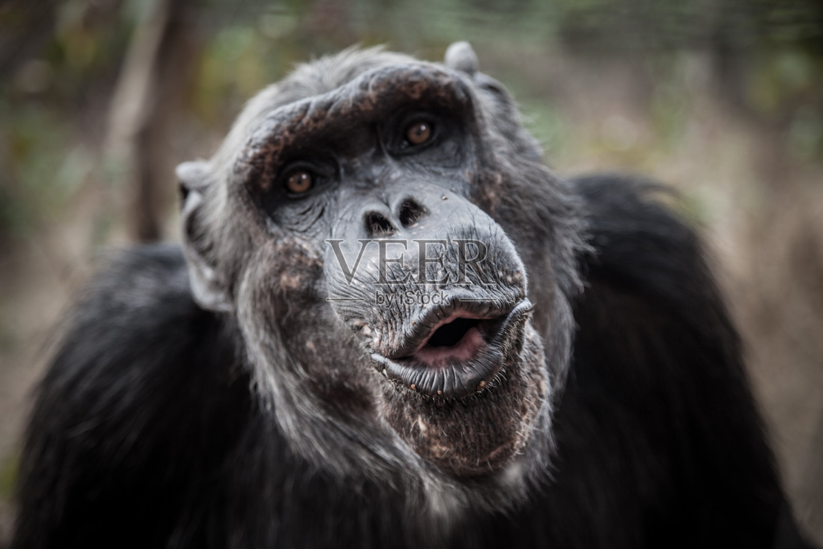 吻照片摄影图片