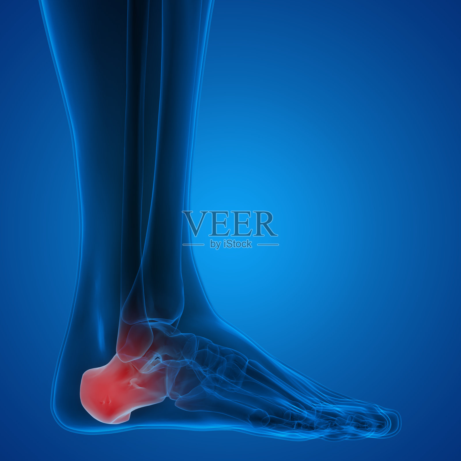 人体关节骨痛照片摄影图片