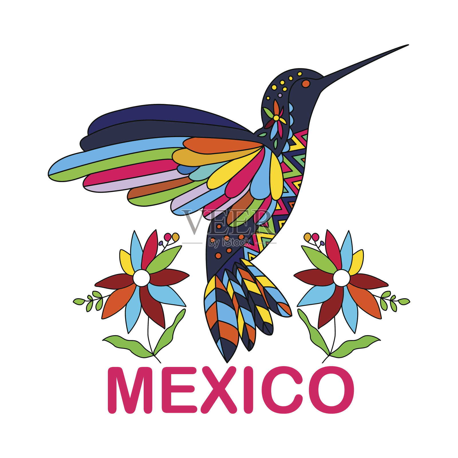 孤立的矢量图像的墨西哥鸟。蜂鸟。传统的插画图片素材