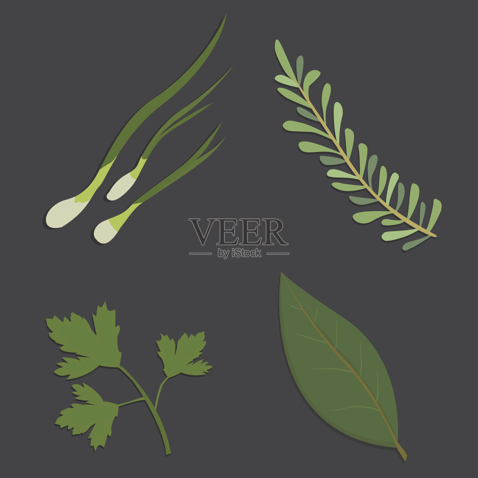 芳香草本植物。新鲜和香料。矢量插图。插画图片素材