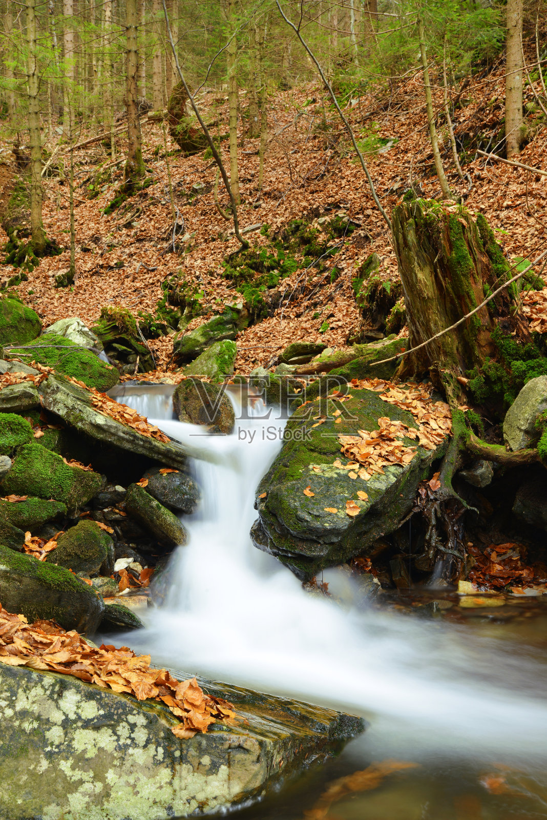 秋溪照片摄影图片