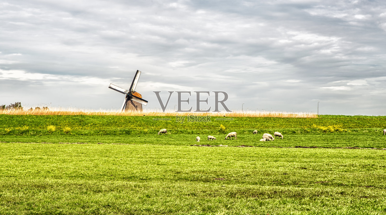 典型的荷兰景观照片摄影图片