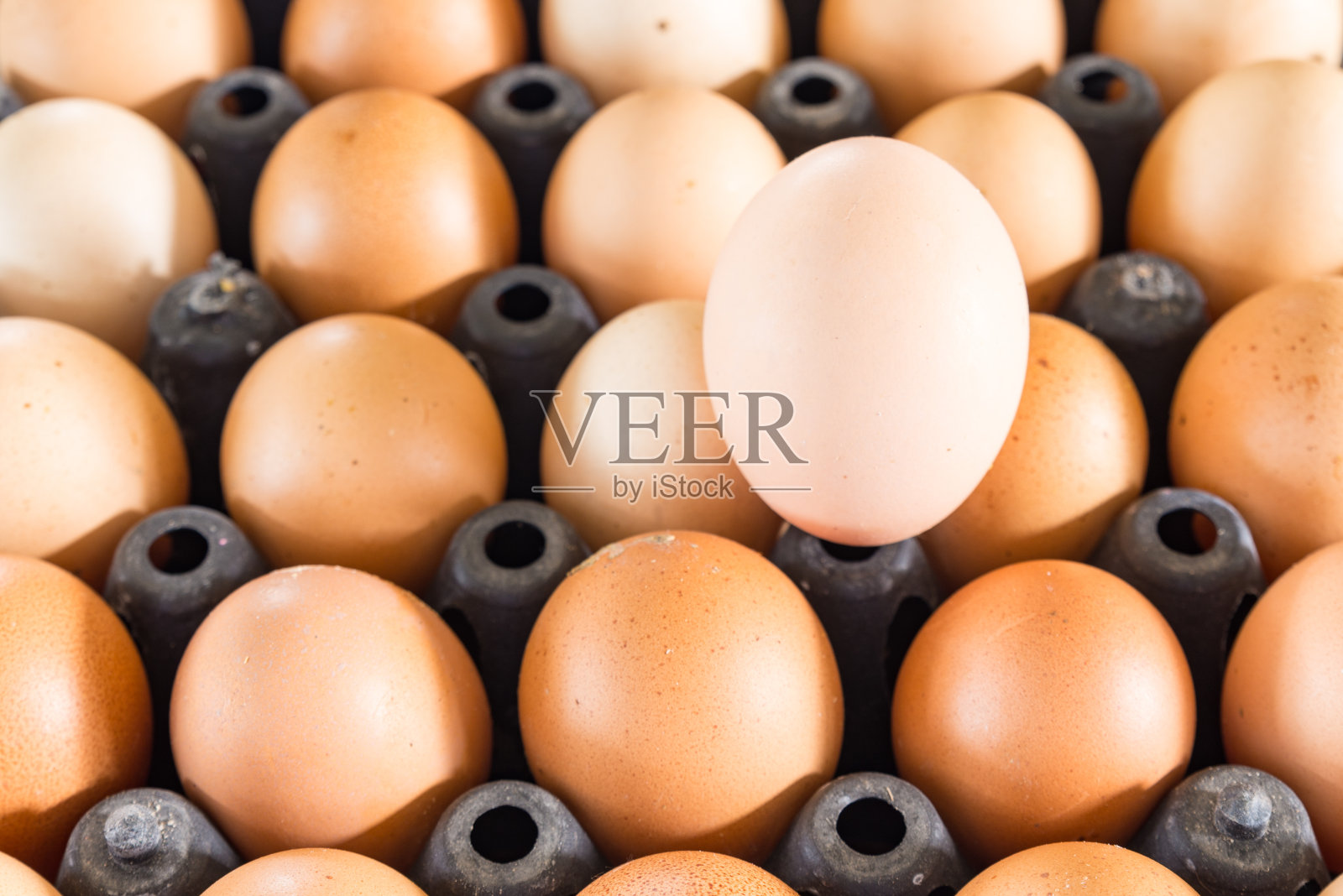 生鸡蛋放在黑色塑料托盘里，合上照片摄影图片