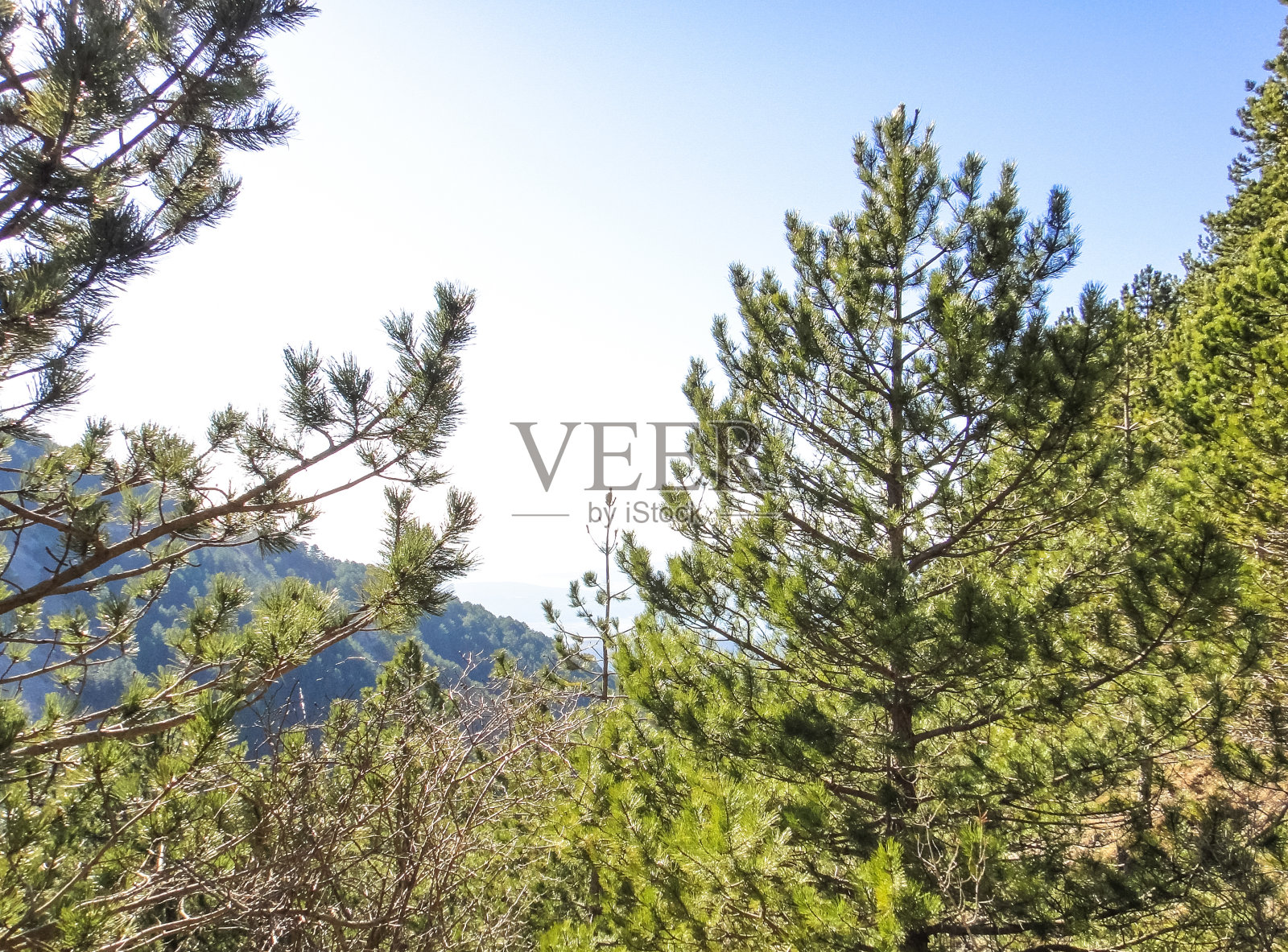 科托尔附近的山脉。黑山共和国照片摄影图片