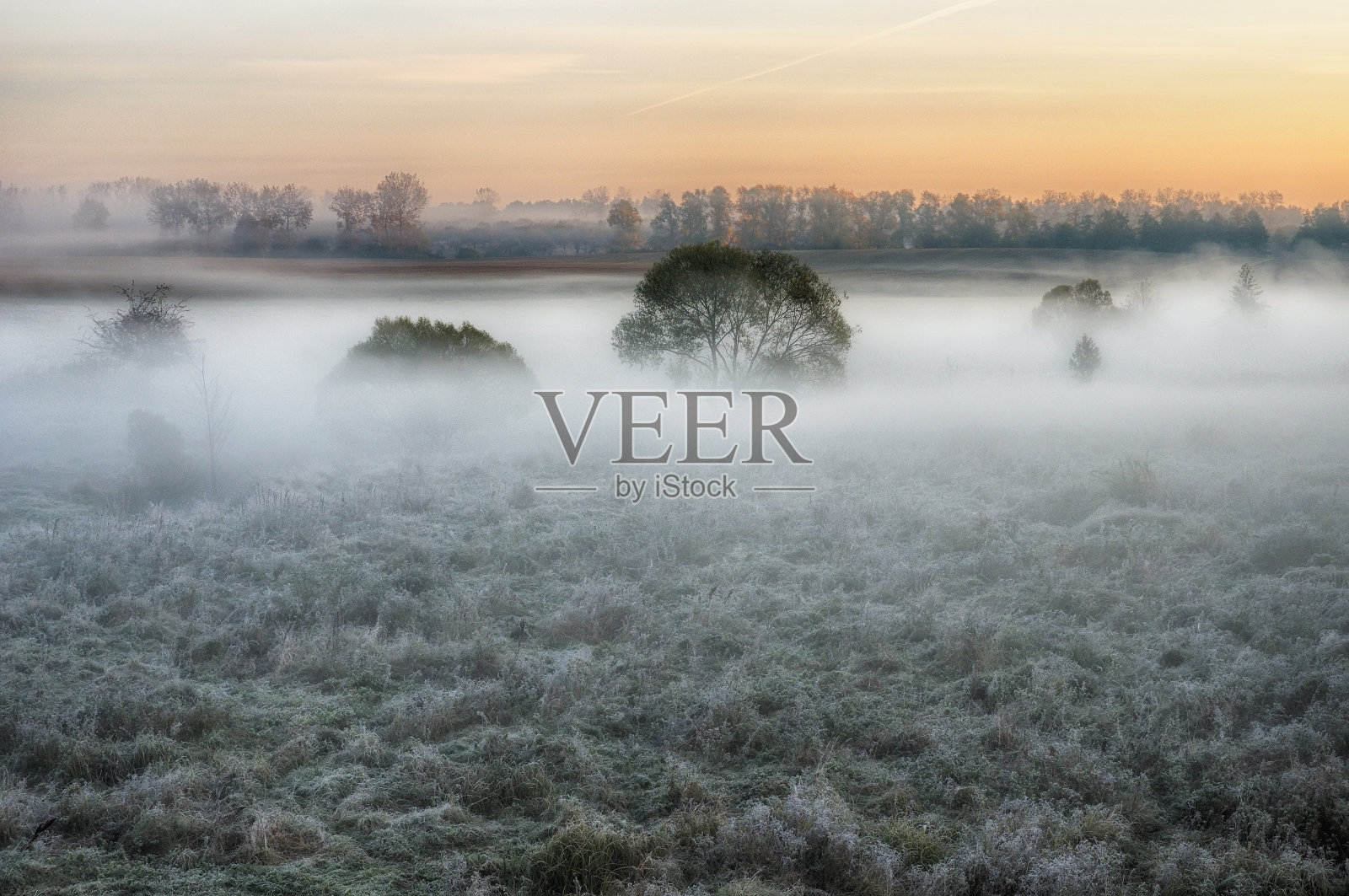 秋天的早晨照片摄影图片