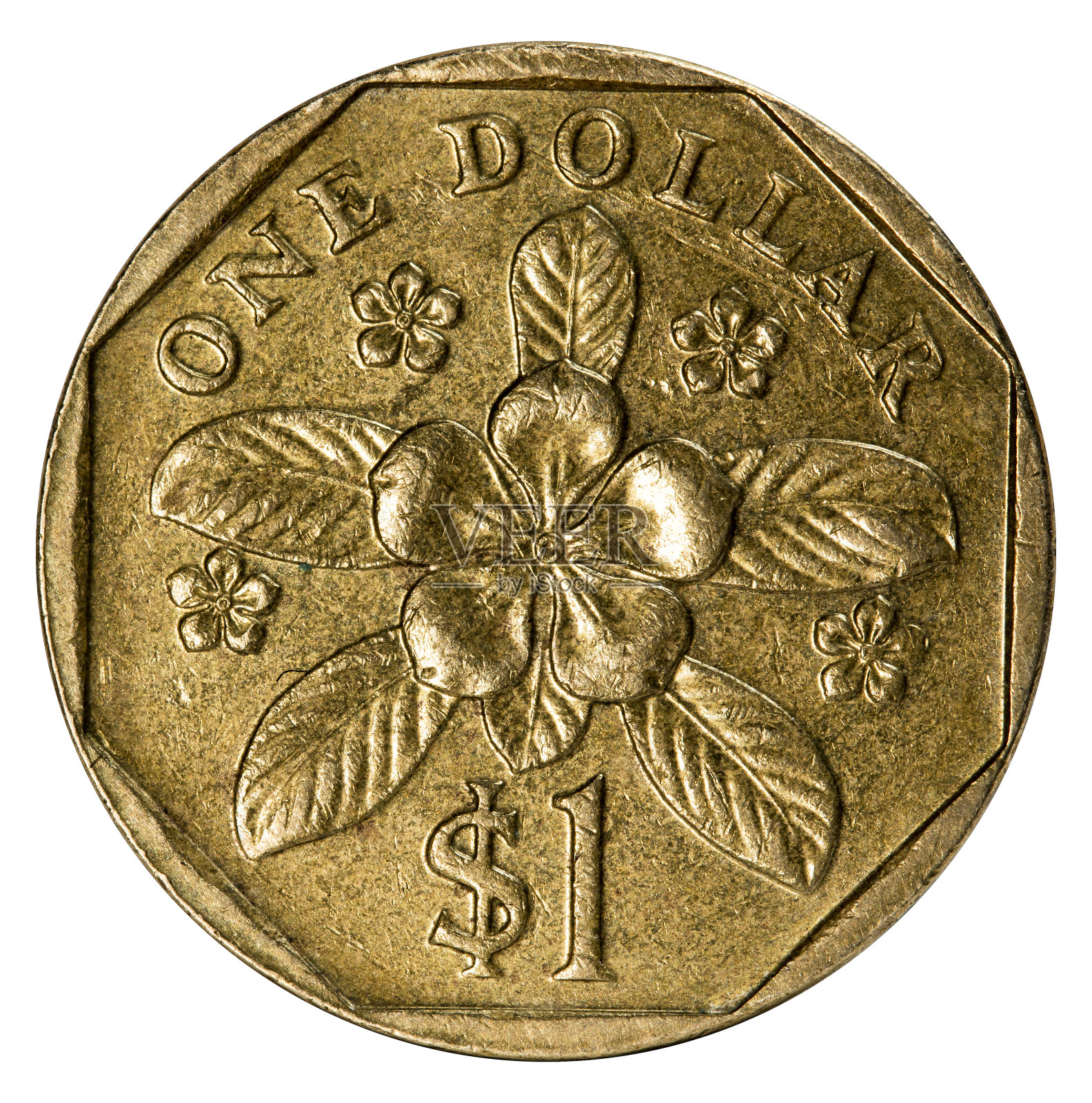 硬币照片摄影图片