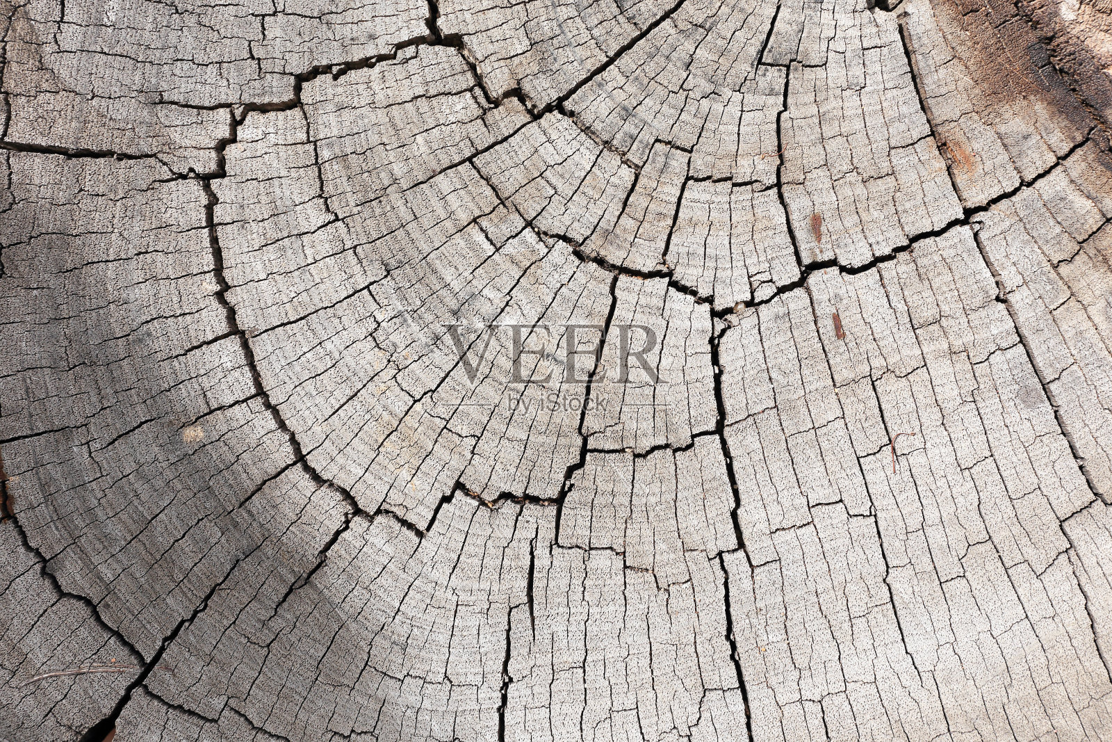 木材纹理背景照片摄影图片