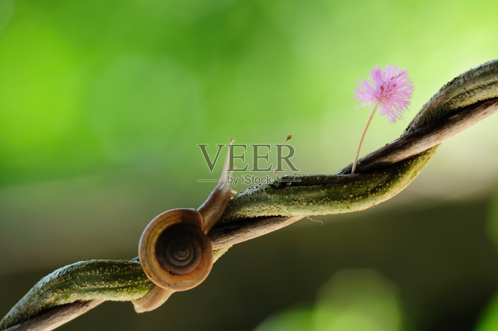 慢慢走，努力达到目标照片摄影图片