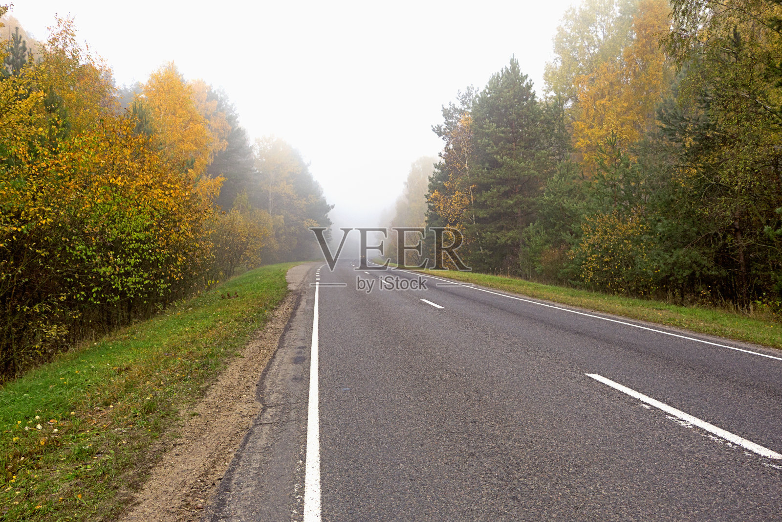 郊外森林里的秋景。照片摄影图片
