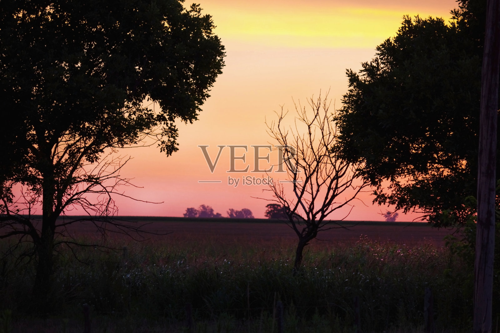 日落与背光树和彩色云彩照片摄影图片