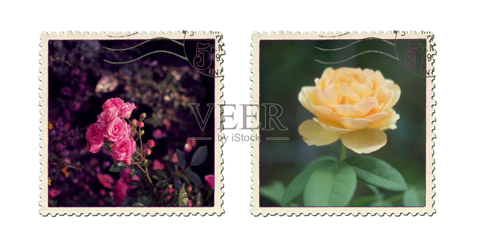 邮票了照片摄影图片