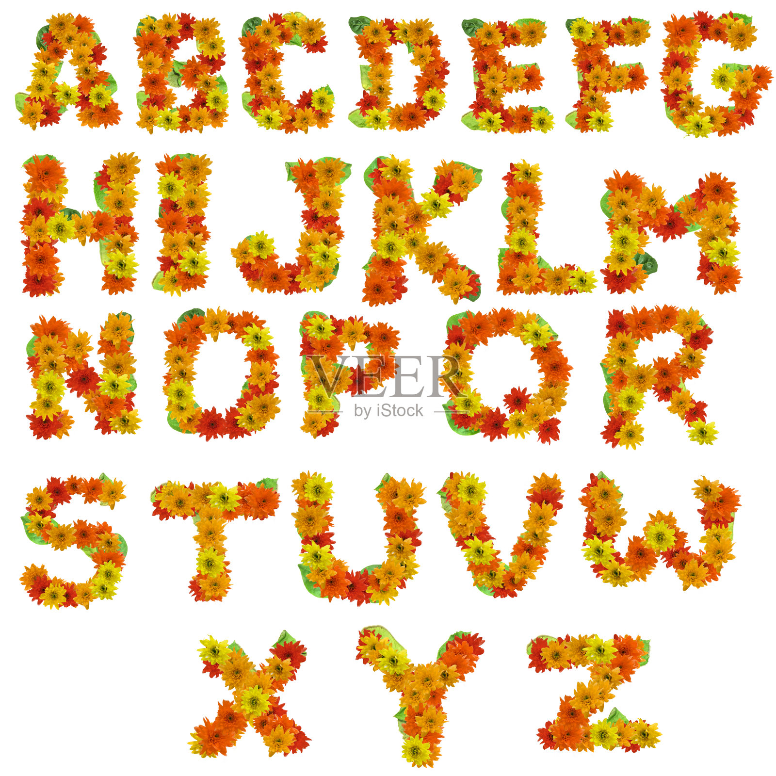 花字母热色调孤立在白色背景。照片摄影图片