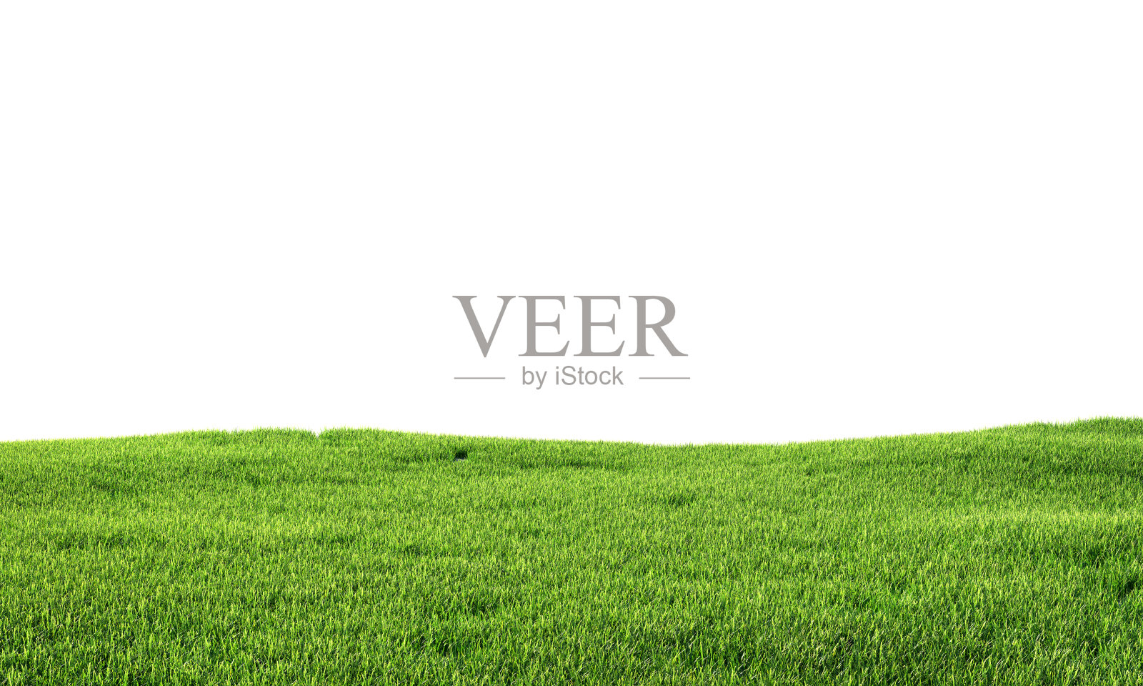 绿草孤立在白色的背景上。三维演示照片摄影图片