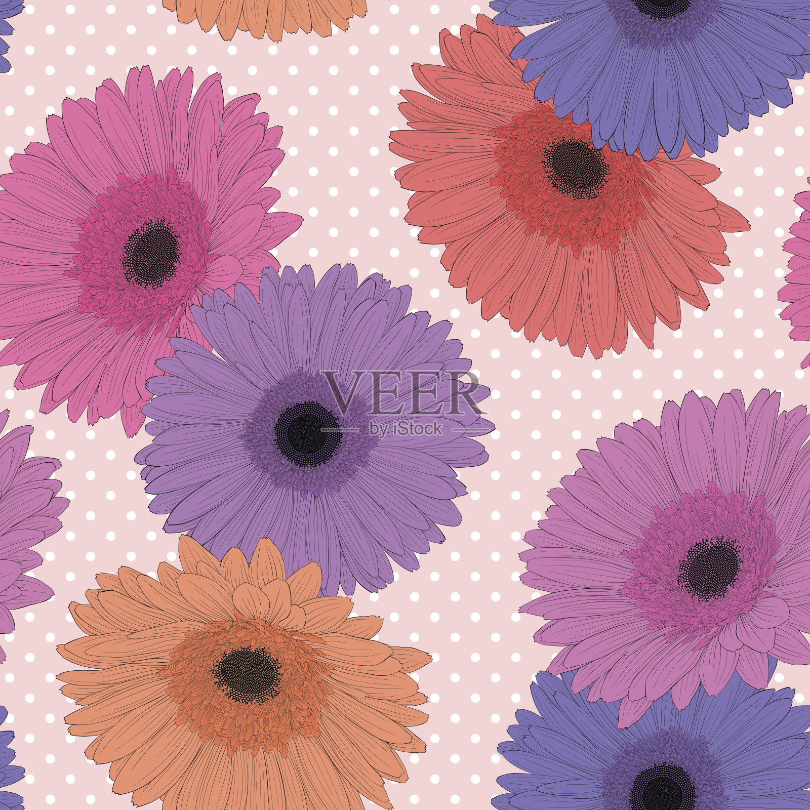 美丽的背景与非洲菊花。插画图片素材