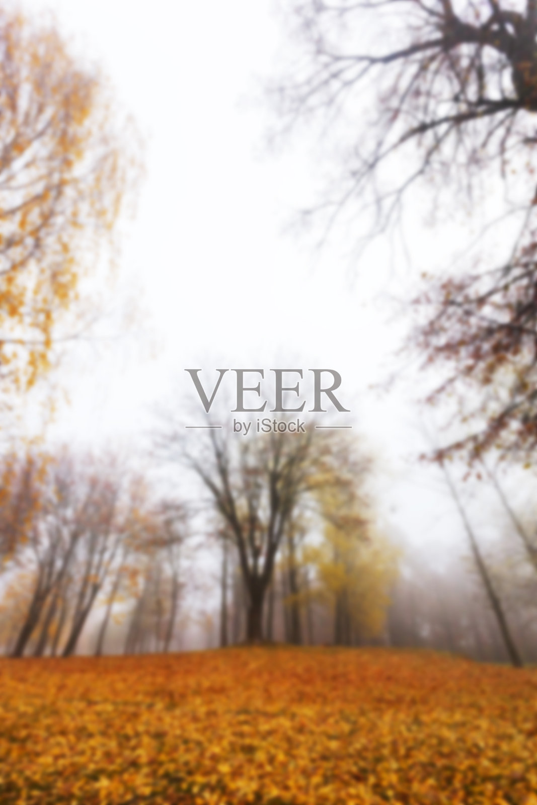 秋天的公园,阴照片摄影图片