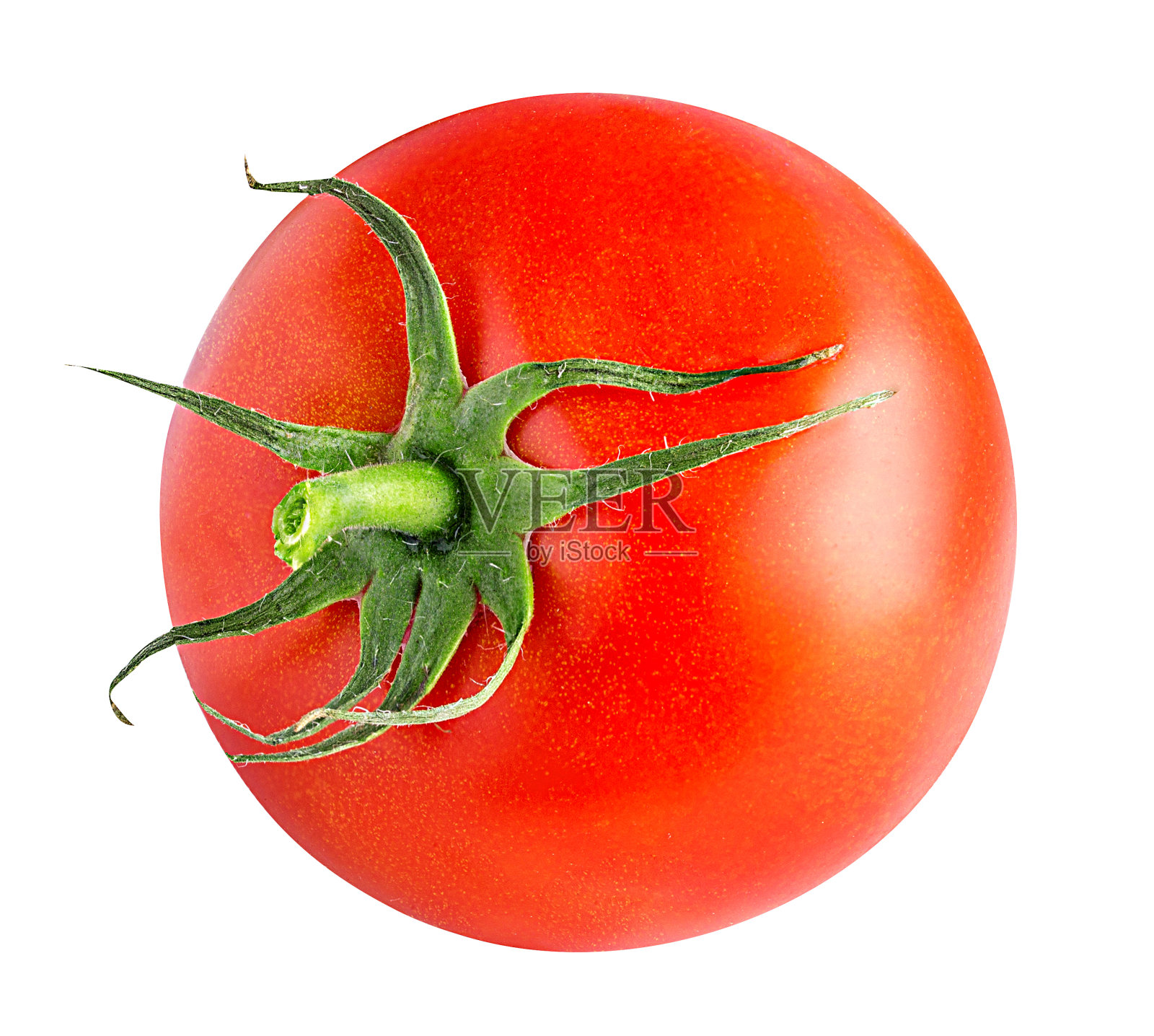 白色上分离的番茄照片摄影图片