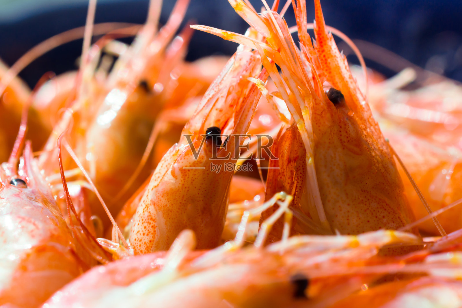 虾。照片摄影图片