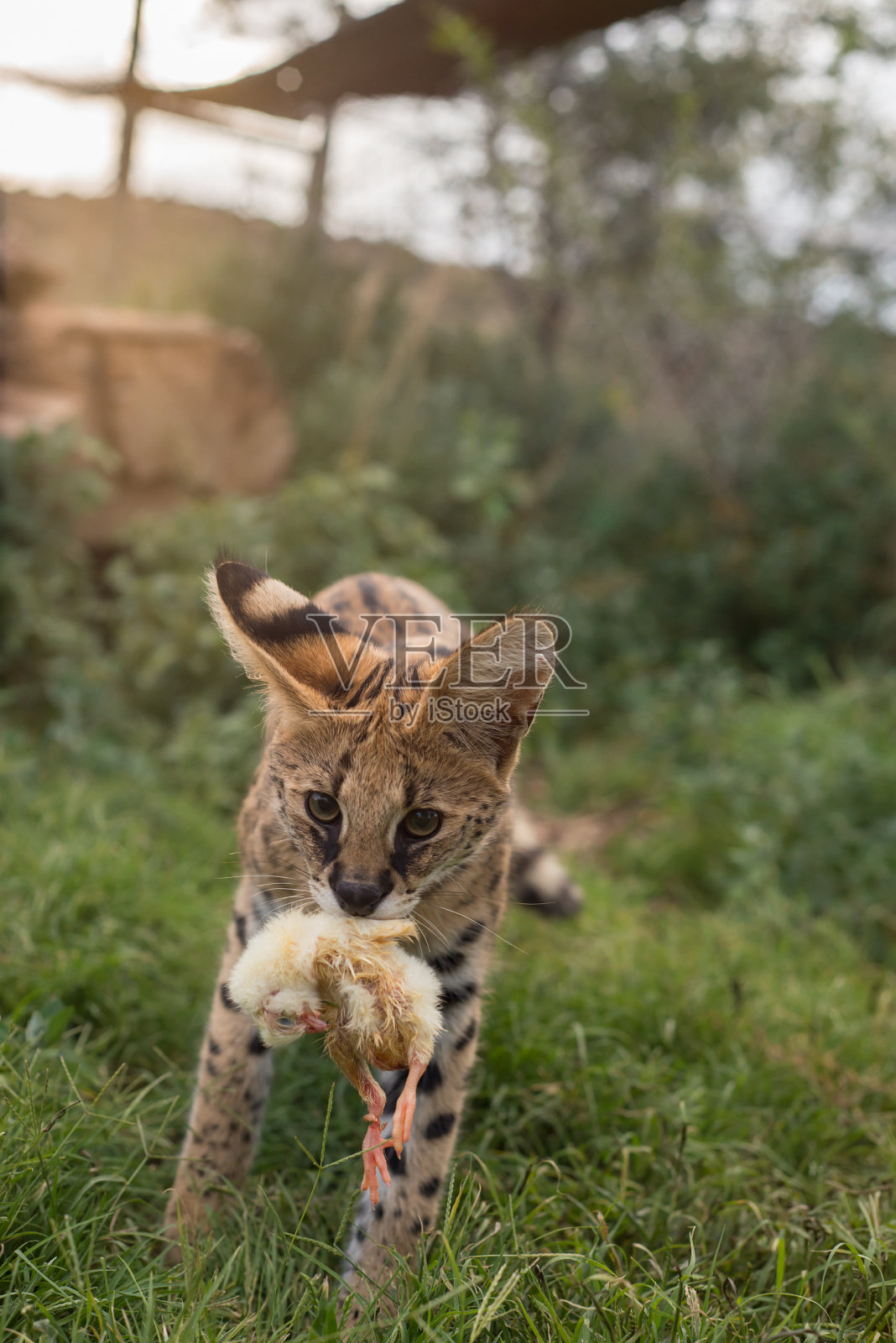 来玩照片摄影图片