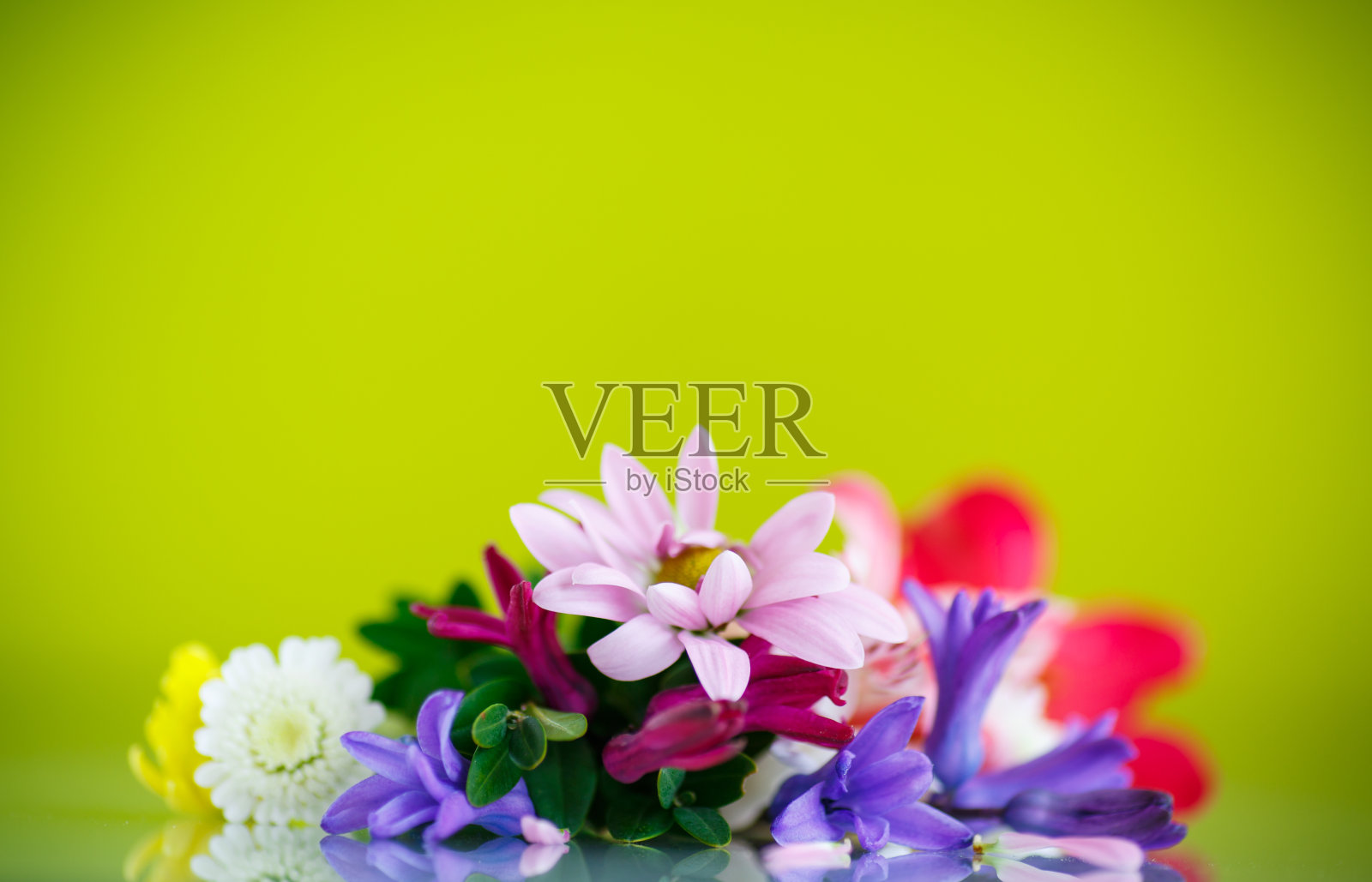 一束美丽的春花照片摄影图片