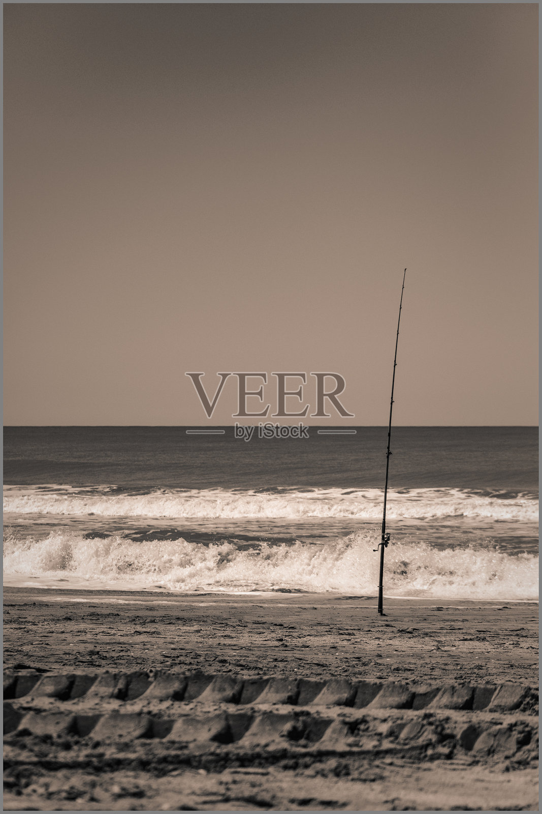 卡卡照片摄影图片