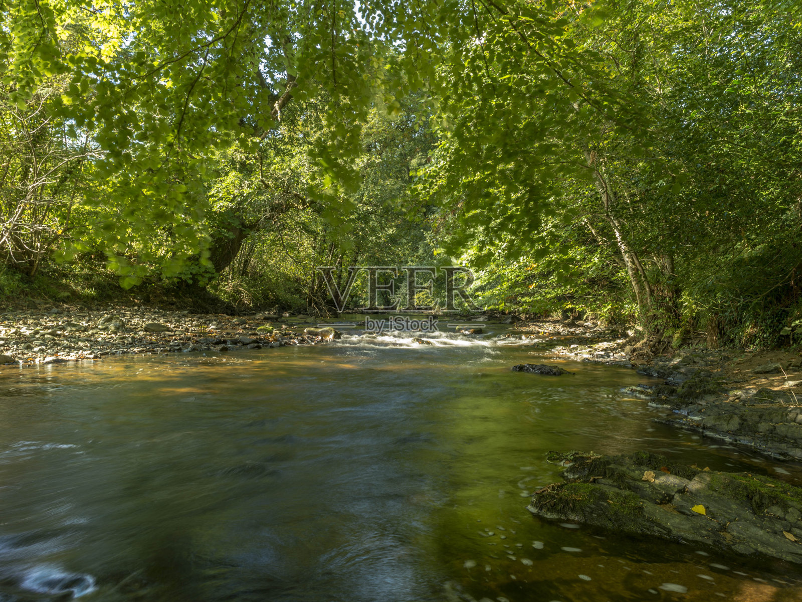 描绘达特穆尔国家公园的Teign河照片摄影图片