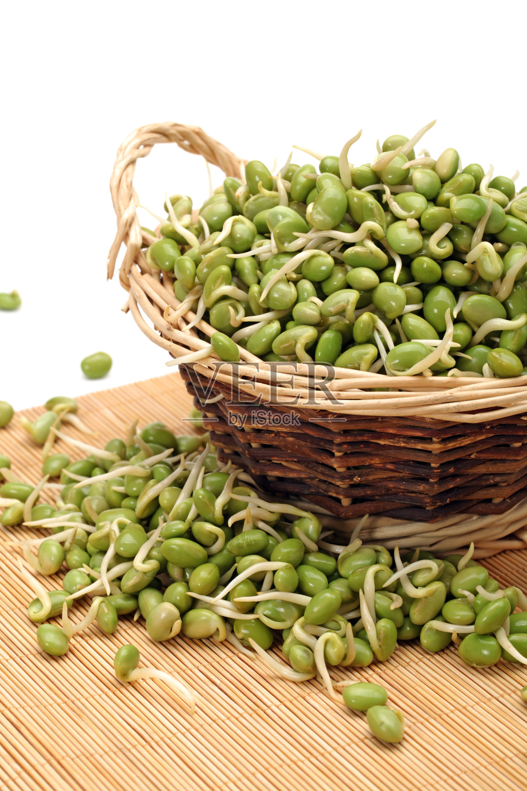 绿色大豆发芽照片摄影图片