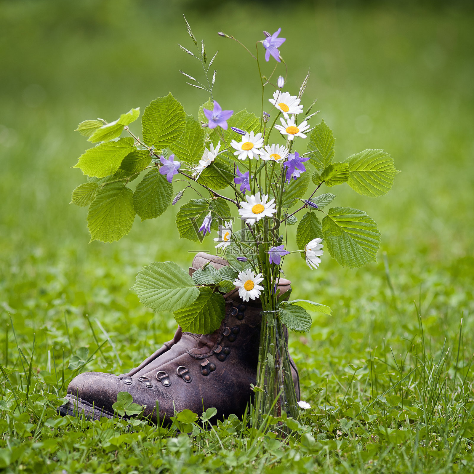 春天的气味照片摄影图片