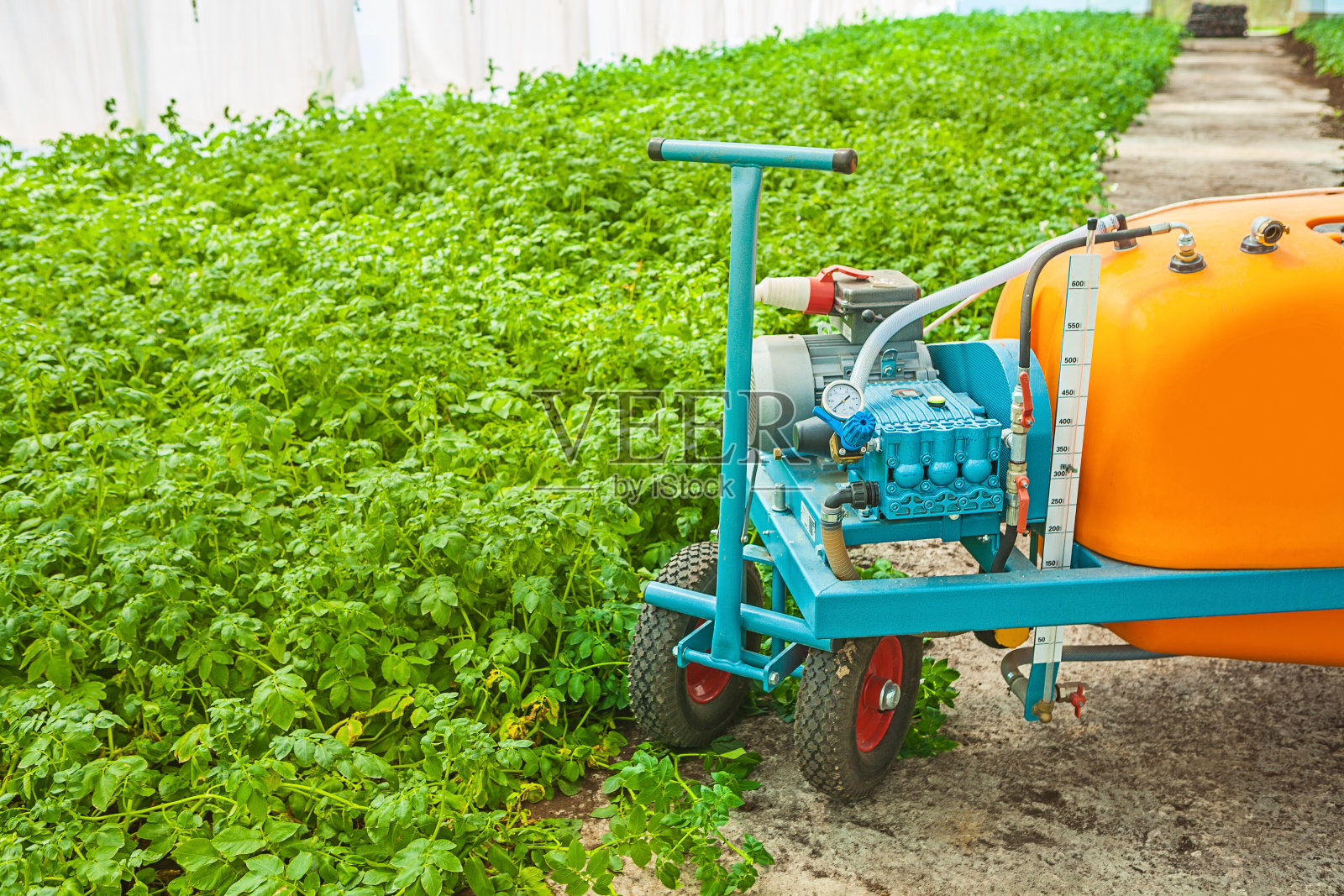 温室里的大型农药喷雾器照片摄影图片