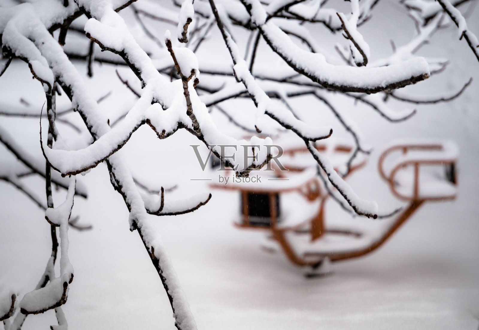 冬季氛围：空旷的冬季公园照片摄影图片