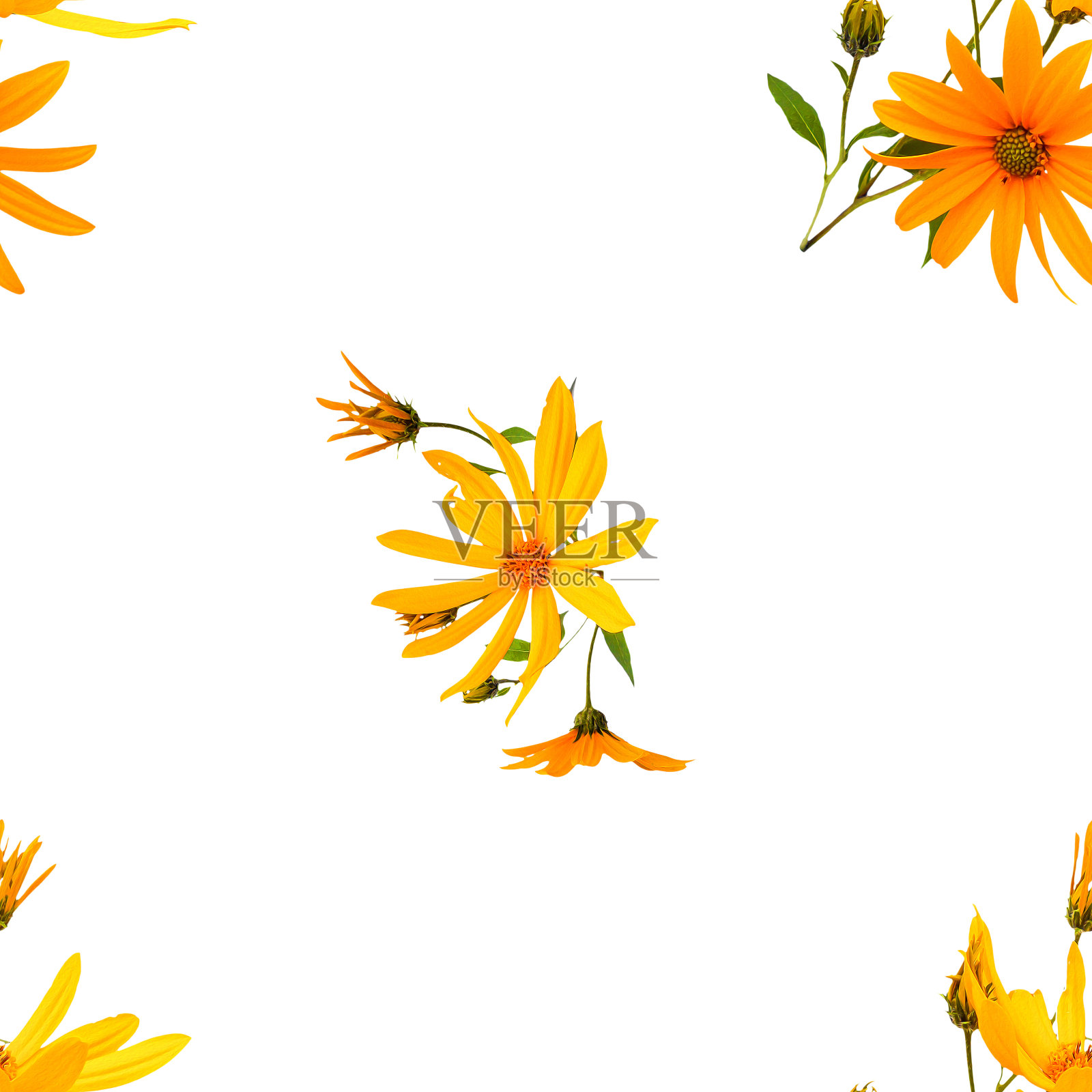 背景纹理由向日葵和文本的地方照片摄影图片