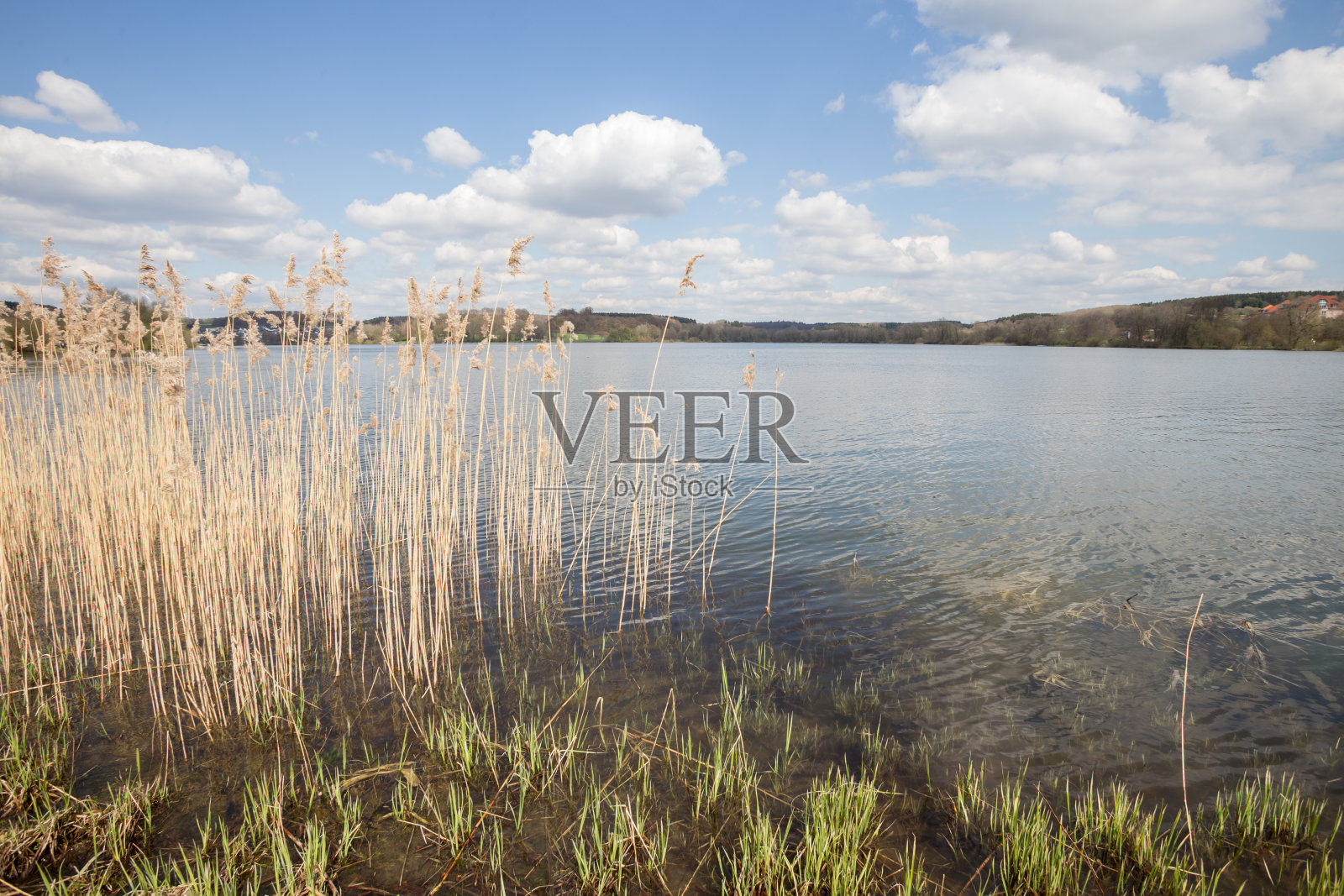 德国西部的Wiesensee水库照片摄影图片