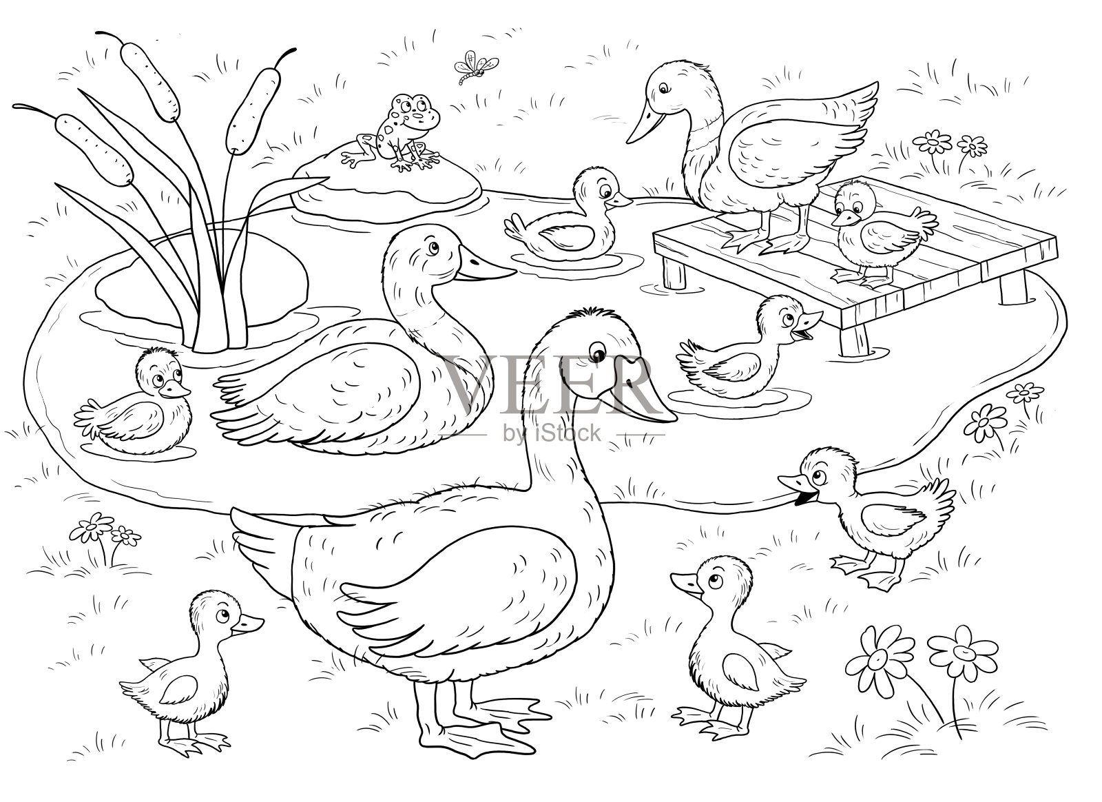 在农场。可爱的鸭子和鹅的家庭。对儿童插图。着色页面插画图片素材