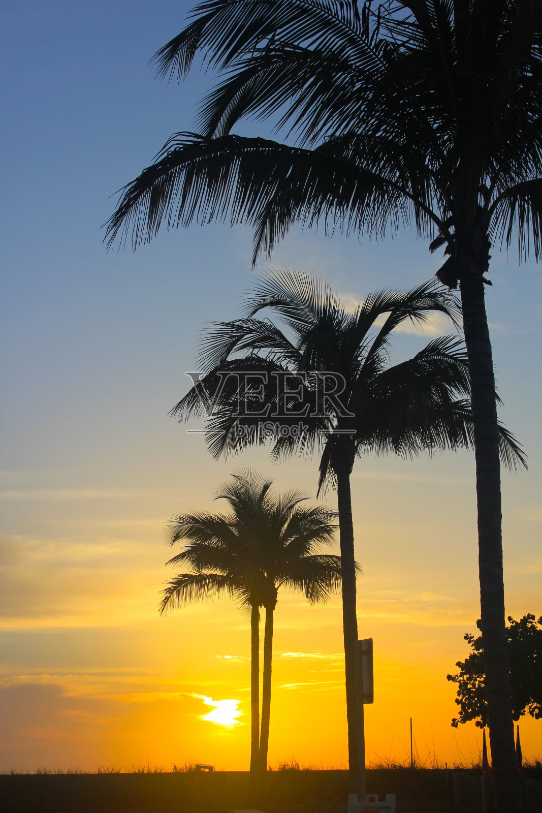 三个手掌照片摄影图片