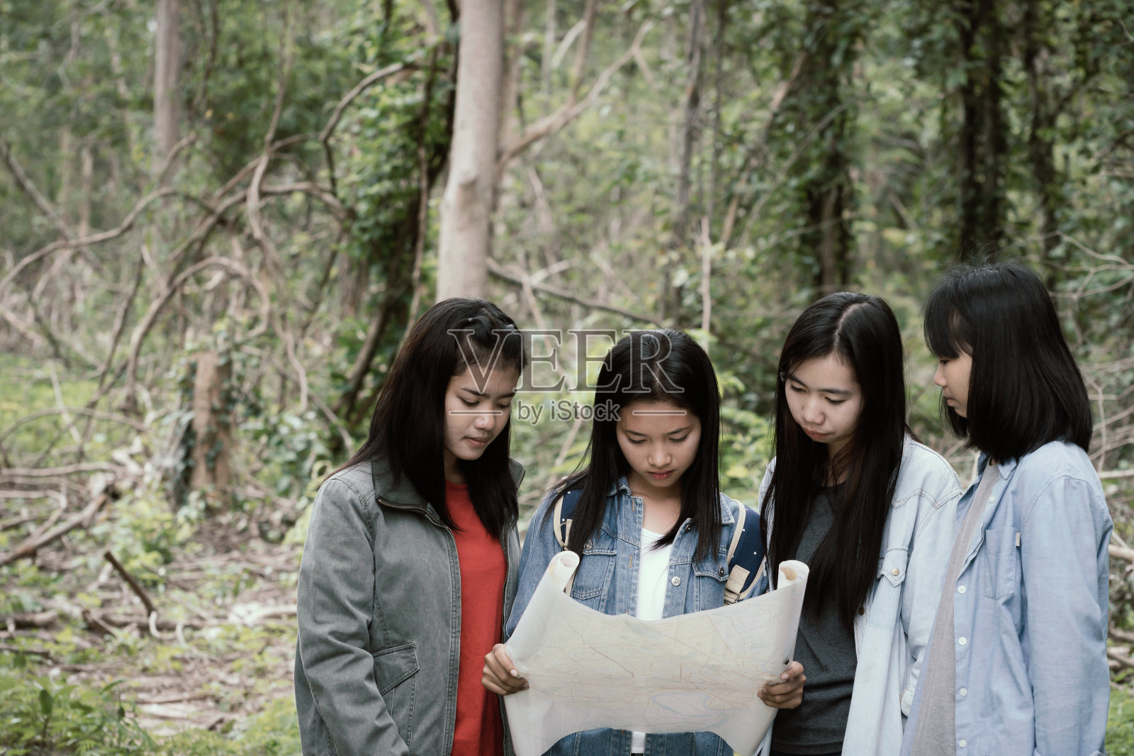 一群女孩在寻找方向照片摄影图片