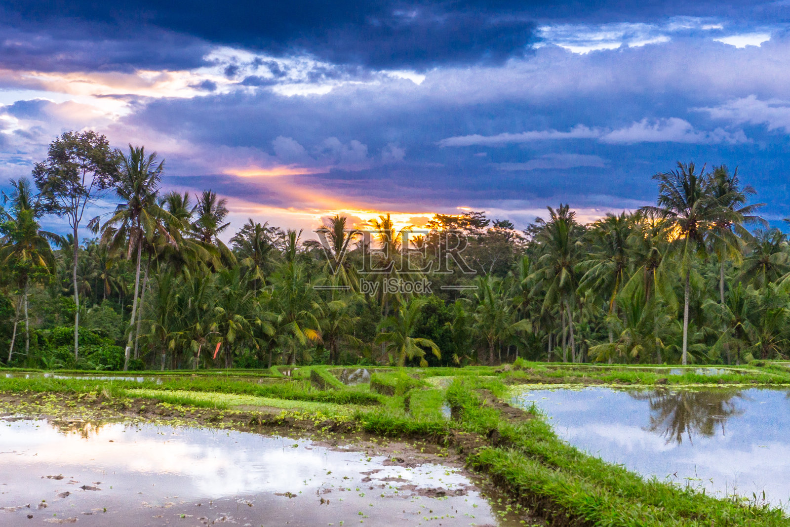 乌布(巴厘岛)，印度尼西亚照片摄影图片