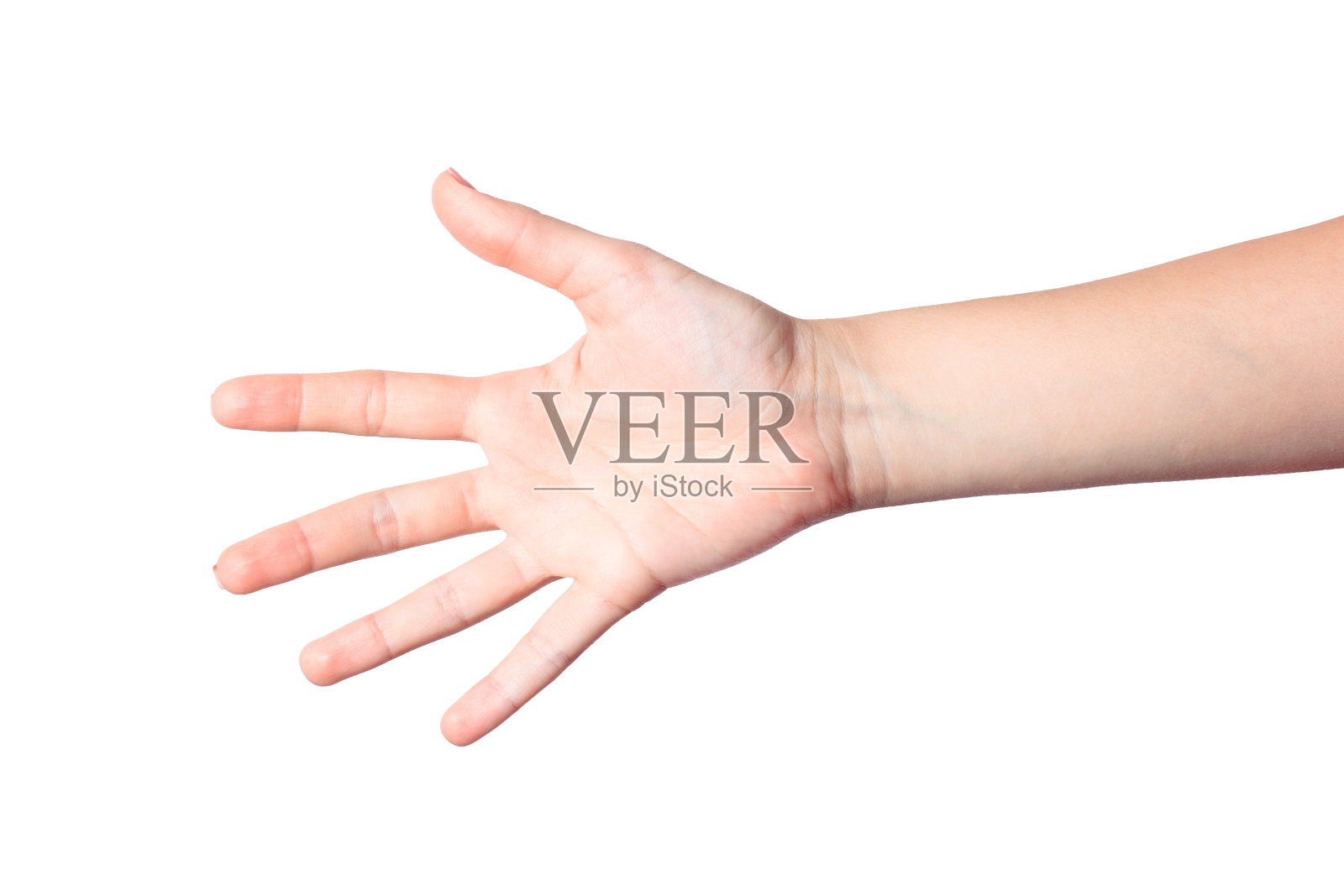 张开的手。在白色背景照片摄影图片