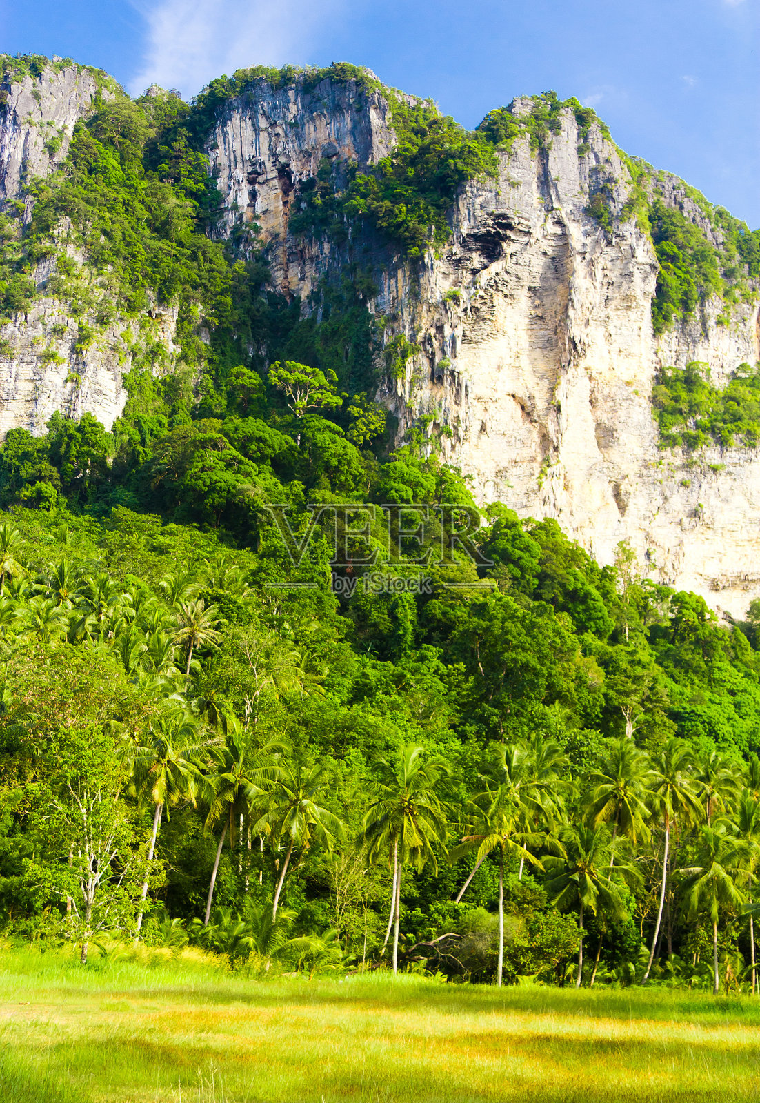 绿色的风景照片摄影图片