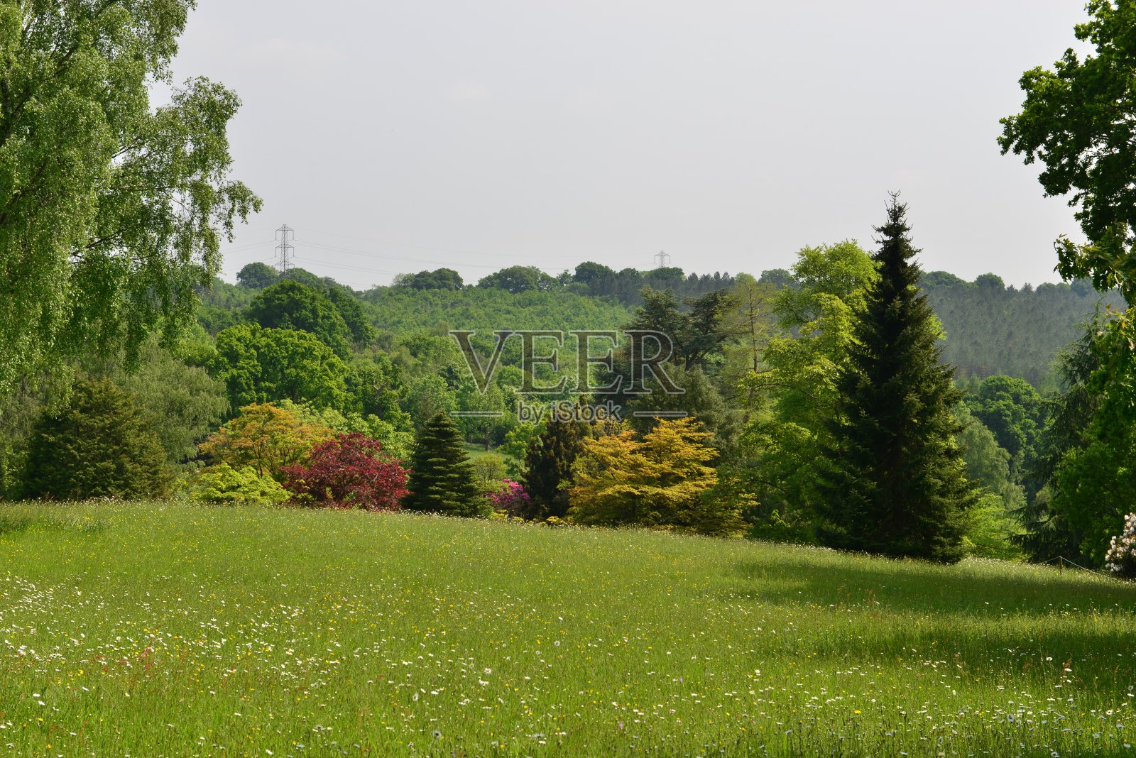 英国乡村花园照片摄影图片
